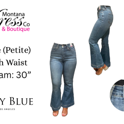 Judy Blue Flares Petites