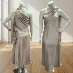Champagne Satin Mock Neck Muffler Maxi Dress